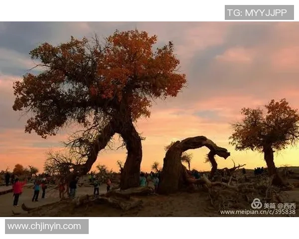 伊萨克的传奇旅程与不朽精神在历史长河中的深远影响 伊萨克的传奇旅程与不朽精神在历史长河中的深远影响