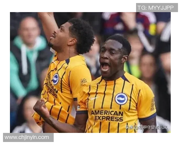 布莱顿对阵狼队赛事分析与推荐策略详解