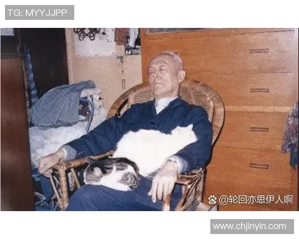 张帆：在风云变幻的时代中追寻梦想与勇气的故事