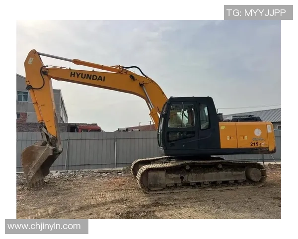 现代215Vs跑表技巧与实用经验分享，助你轻松掌握驾驶节奏与性能优化