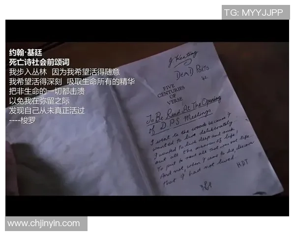 自由人与震动的较量探索内心的自由与外界的冲击