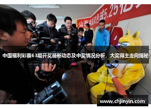 中国福利彩票63期开奖最新动态及中奖情况分析，大奖得主走向揭秘